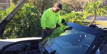 Tampa Windshield replacement