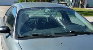 Punta Gorda Windshield Replacement